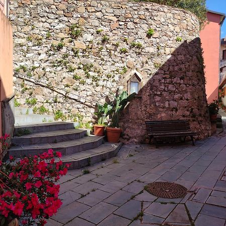 Camera Tra Le Cinque Terre, Camogli E Portofino. Vista Valle E Scorcio Mare All'Orizzonte Castiglione Chiavarese Dış mekan fotoğraf
