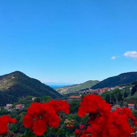 Camera Tra Le Cinque Terre, Camogli E Portofino. Vista Valle E Scorcio Mare All'Orizzonte Castiglione Chiavarese Dış mekan fotoğraf