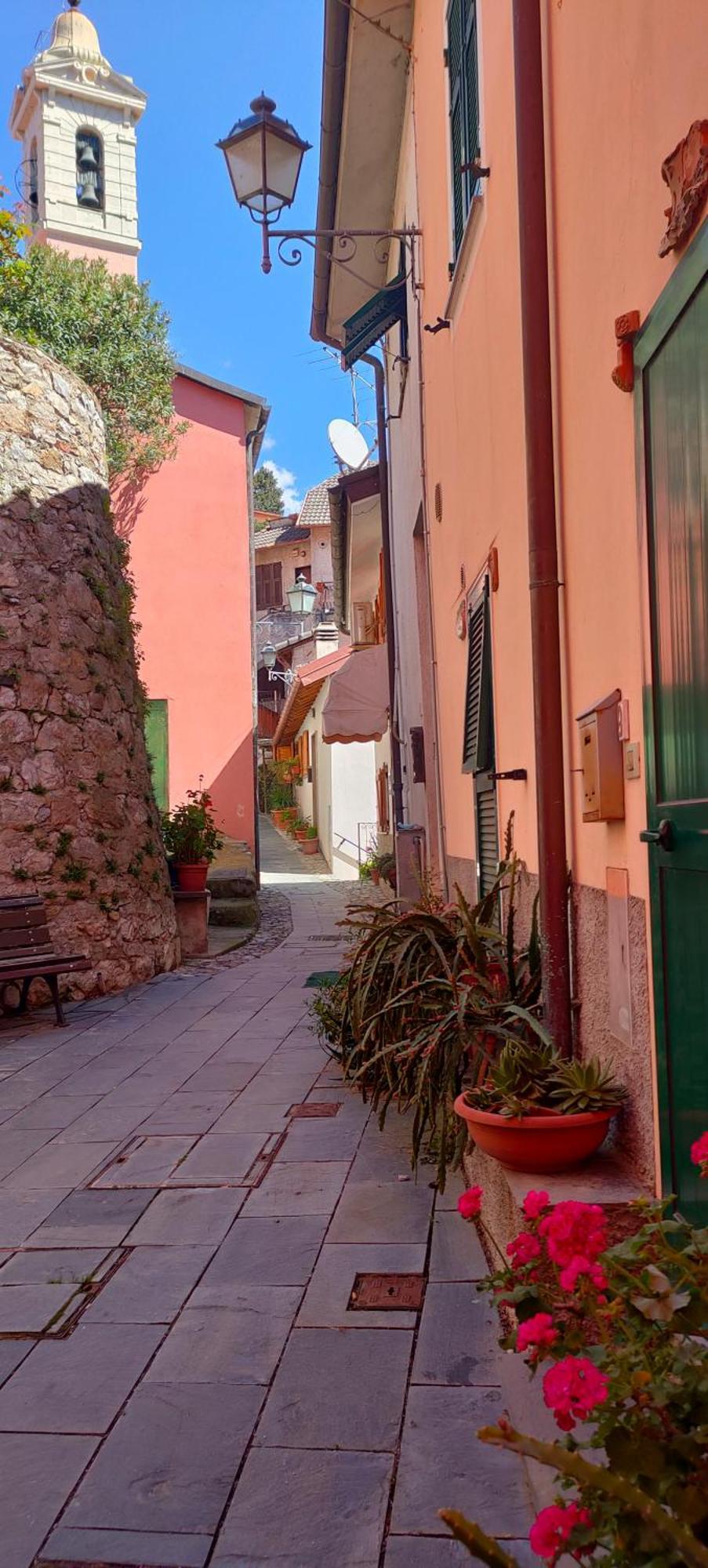 Camera Tra Le Cinque Terre, Camogli E Portofino. Vista Valle E Scorcio Mare All'Orizzonte Castiglione Chiavarese Dış mekan fotoğraf