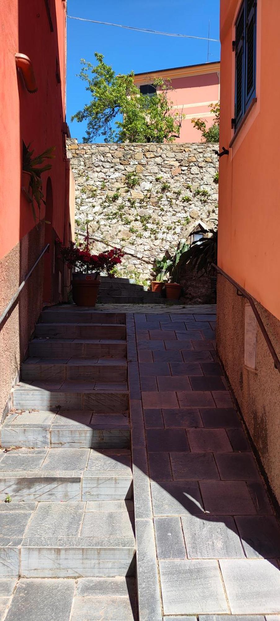Camera Tra Le Cinque Terre, Camogli E Portofino. Vista Valle E Scorcio Mare All'Orizzonte Castiglione Chiavarese Dış mekan fotoğraf