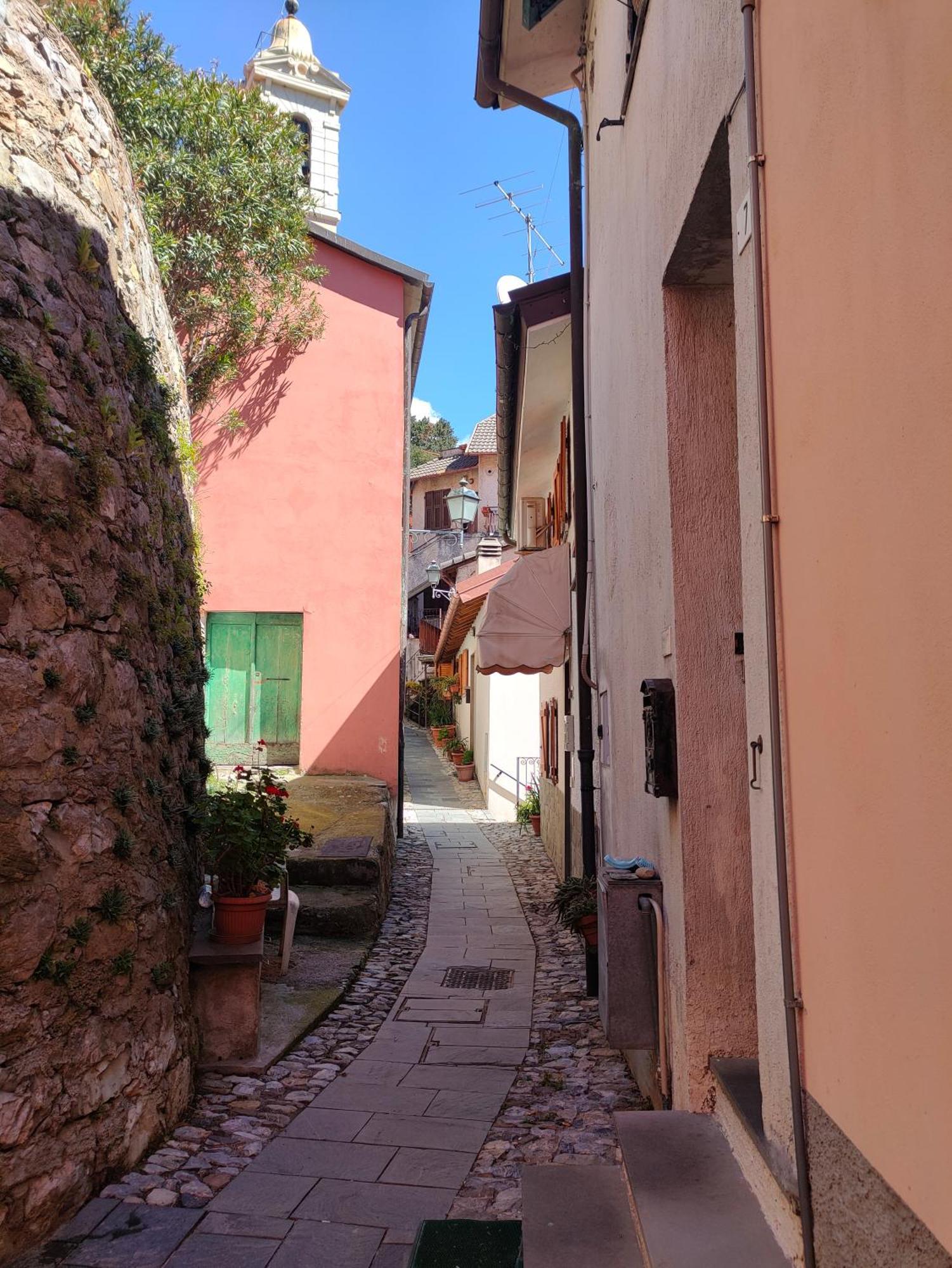 Camera Tra Le Cinque Terre, Camogli E Portofino. Vista Valle E Scorcio Mare All'Orizzonte Castiglione Chiavarese Dış mekan fotoğraf