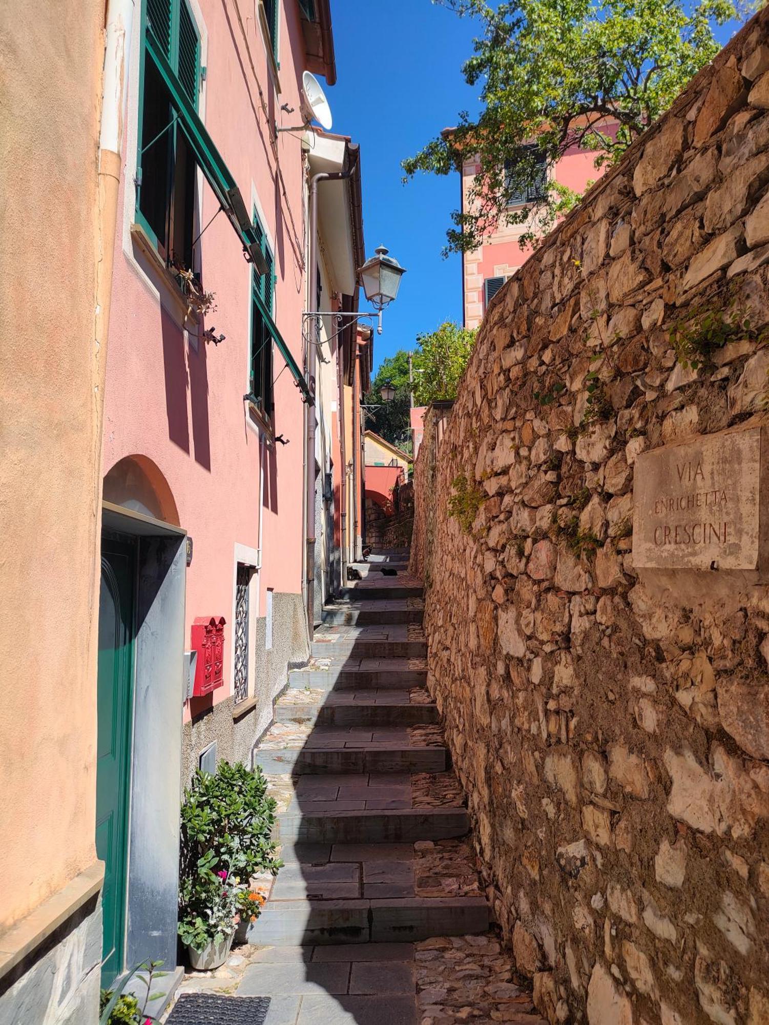 Camera Tra Le Cinque Terre, Camogli E Portofino. Vista Valle E Scorcio Mare All'Orizzonte Castiglione Chiavarese Dış mekan fotoğraf