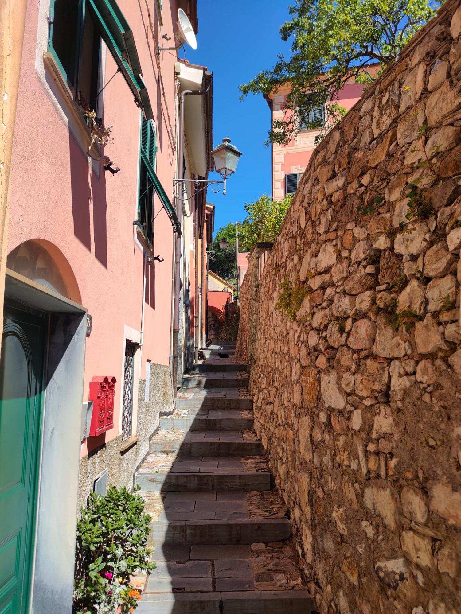 Camera Tra Le Cinque Terre, Camogli E Portofino. Vista Valle E Scorcio Mare All'Orizzonte Castiglione Chiavarese Dış mekan fotoğraf