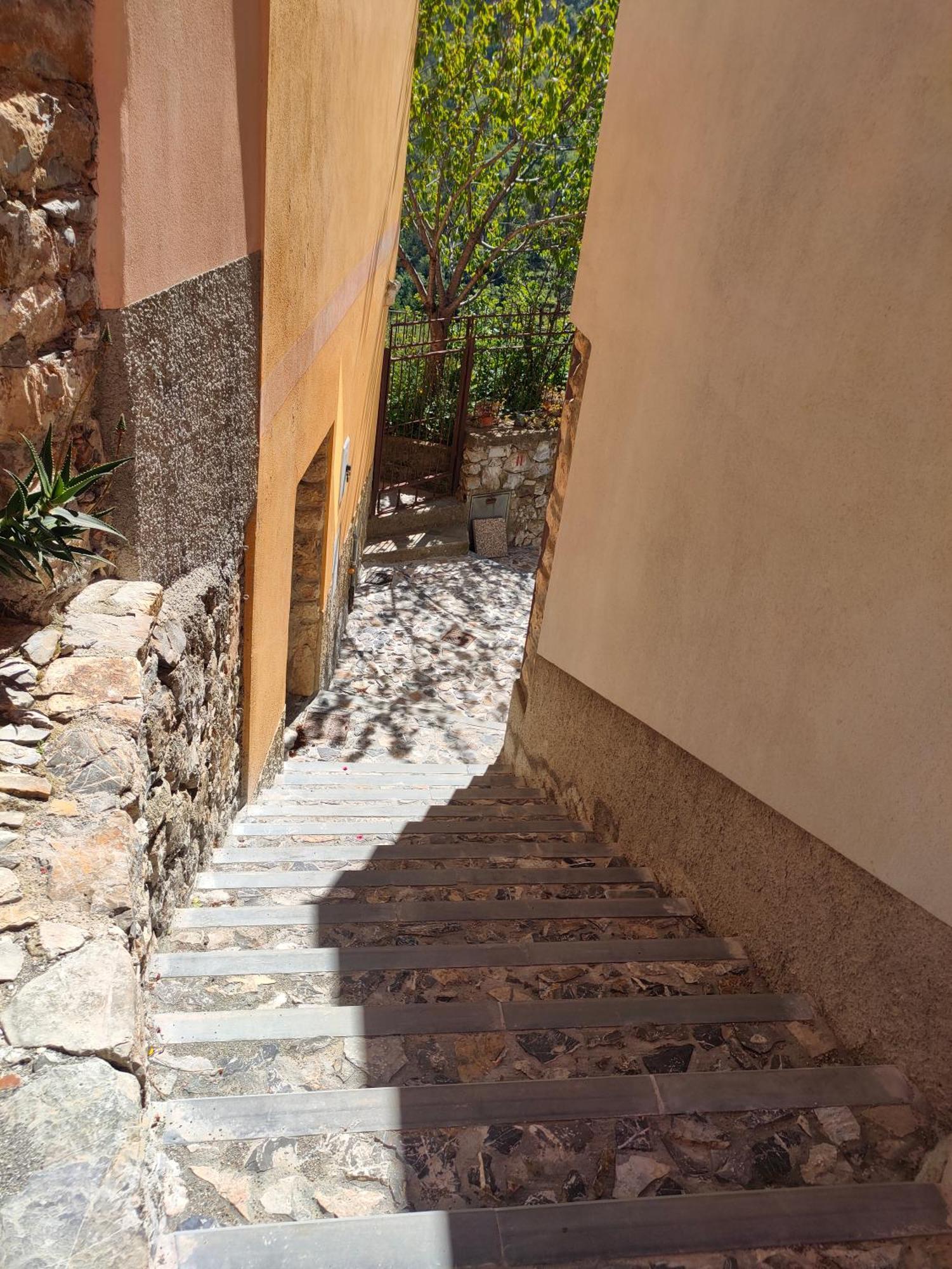 Camera Tra Le Cinque Terre, Camogli E Portofino. Vista Valle E Scorcio Mare All'Orizzonte Castiglione Chiavarese Dış mekan fotoğraf