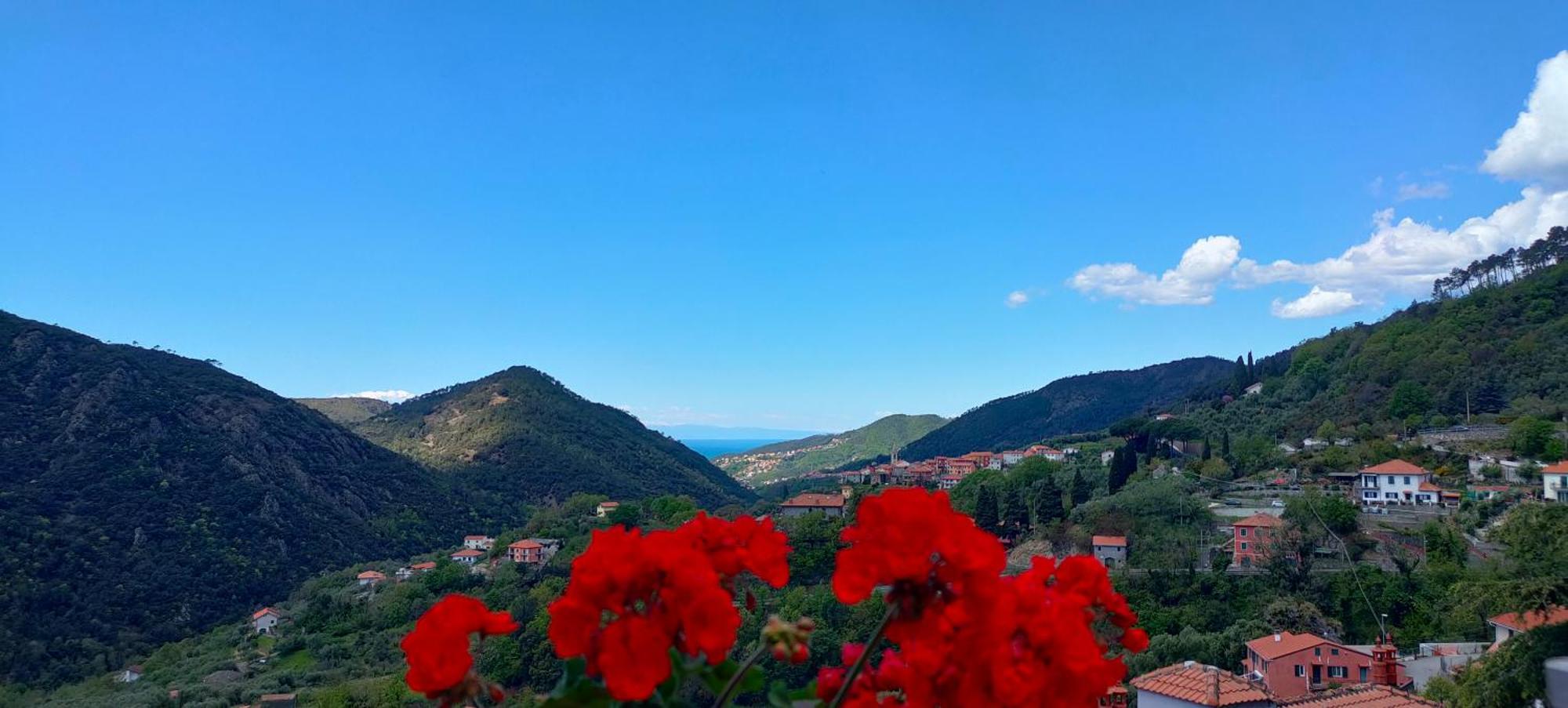 Camera Tra Le Cinque Terre, Camogli E Portofino. Vista Valle E Scorcio Mare All'Orizzonte Castiglione Chiavarese Dış mekan fotoğraf